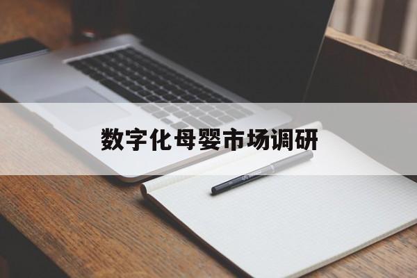 舟山市数字化母婴市场调研(数字化母婴市场调研报告)